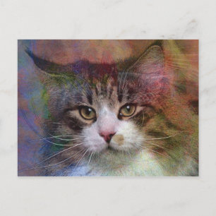 Deep Thoughts Postcard