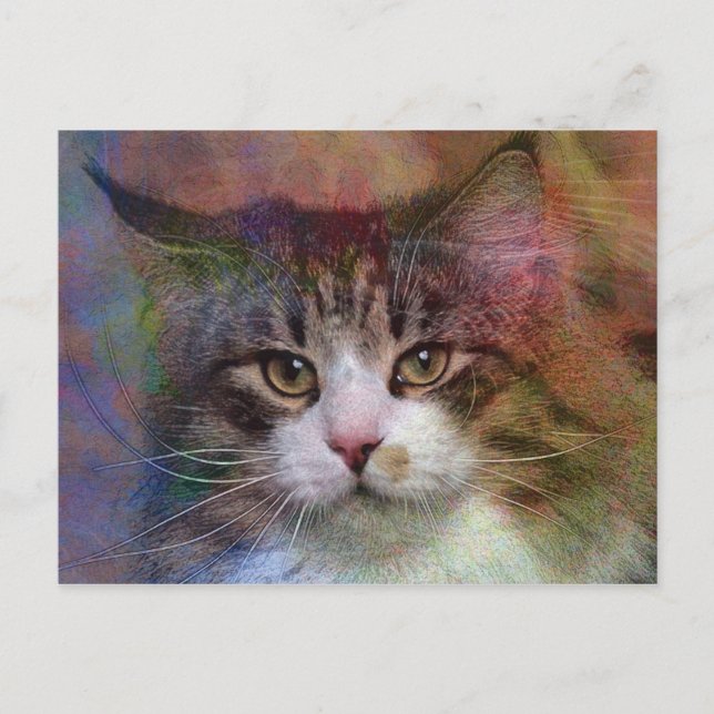 Deep Thoughts Postcard (Front)