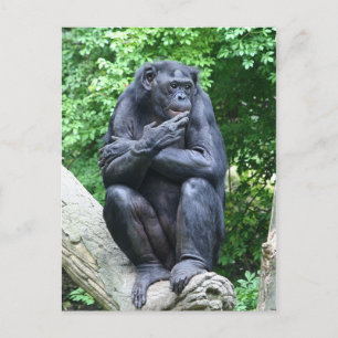 Deep thoughts postcard