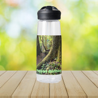 Deep Woods Forest Bathing