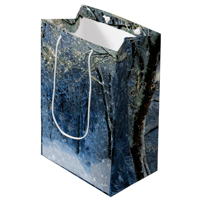 Deep Woods Winter Wonderland Magical Gift Bag (Front Angled)