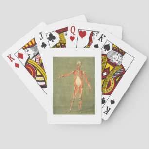 Deeper Muscular System of the Front of the Body, p Playing Cards
