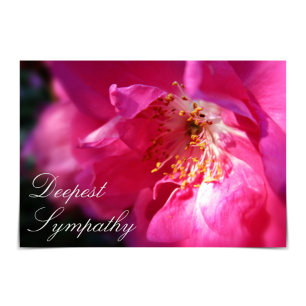 "Deepest Sympathy" Pink Rugosa Rose Card