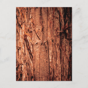 Deeply Textured Reddish Brown Tree Bark Close Up Postcard
