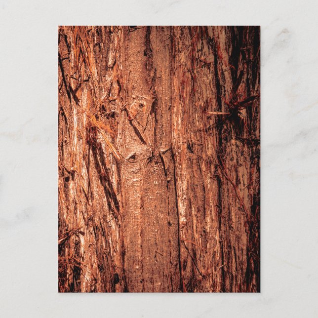 Deeply Textured Reddish Brown Tree Bark Close Up Postcard (Front)