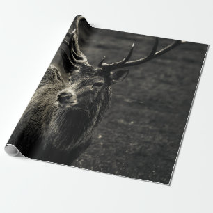 DEER 12 POINT BUCK WRAPPING PAPER