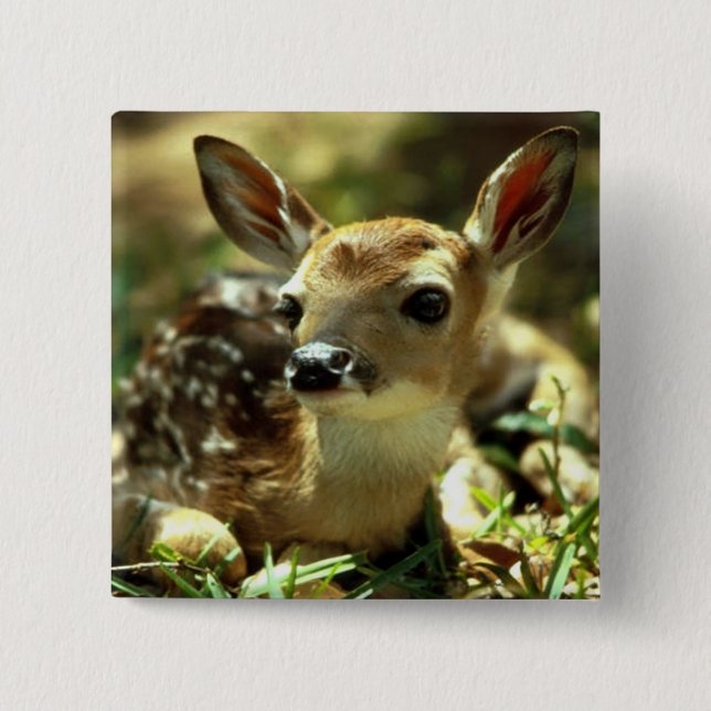 Deer 15 Cm Square Badge (Front)
