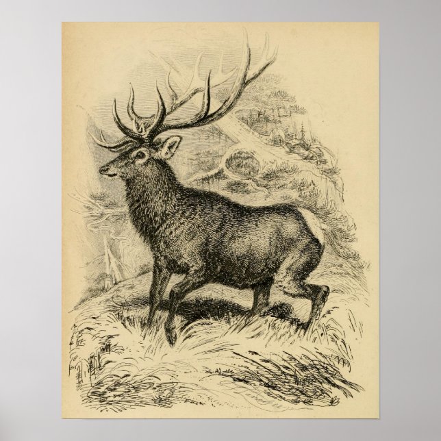 Deer (1849) poster (Front)