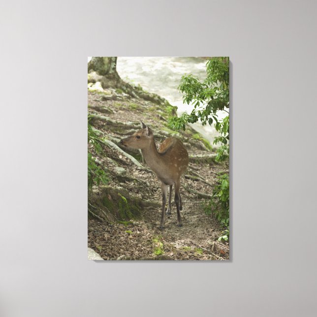 Deer 2 canvas print (Front)