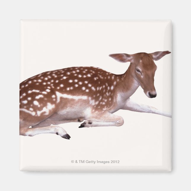 deer 2 magnet (Front)