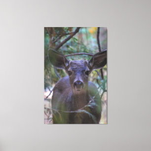 Deer 2- Mummy I see you! Canvas Print