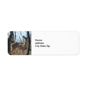 Deer 784