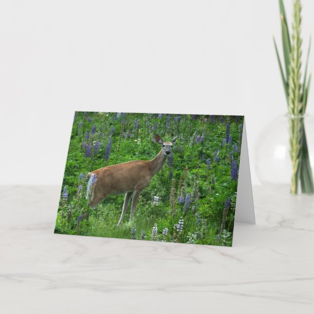 Deer Among the Lupines Card (Front)