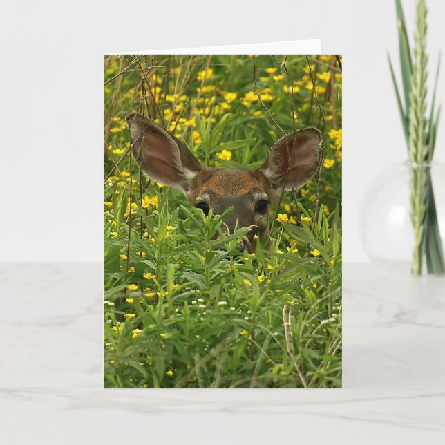 Deer Among Wildflowers Greeting Card (Front)