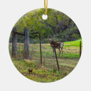 Deer And A Squirrel Painterly Ceramic Tree Decoration