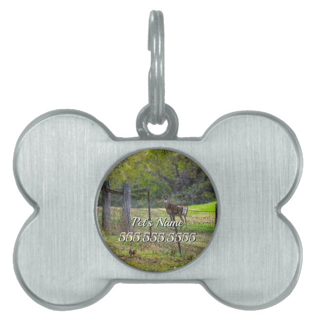 Deer And A Squirrel Painterly Pet ID Tag (Front)