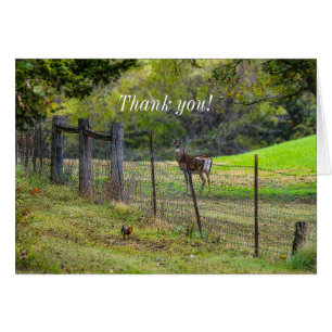 Deer And A Squirrel Painterly Thank You Card