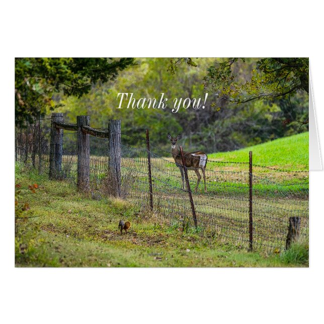 Deer And A Squirrel Painterly Thank You Card (Front Horizontal)