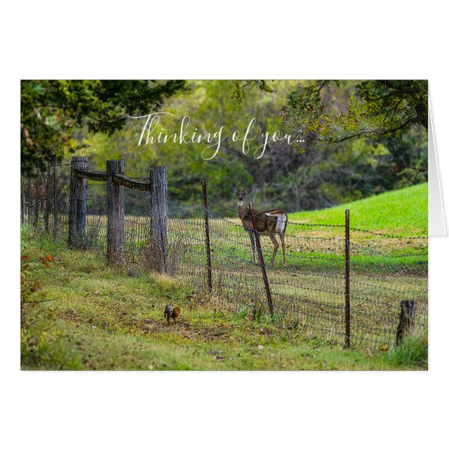 Deer And A Squirrel Painterly Thinking Of You Card (Front Horizontal)
