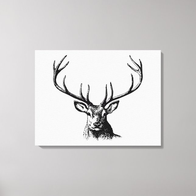 Deer Animal Antlers Nature Wildlife Horns Head Pos Canvas Print (Front)