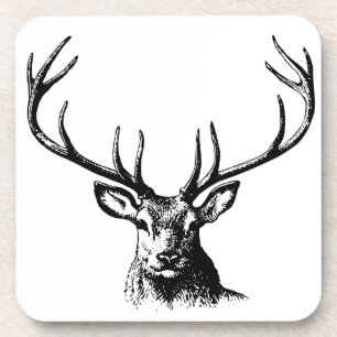Deer Animal Antlers Nature Wildlife Horns Head Pos Coaster