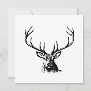 Deer Animal Antlers Nature Wildlife Horns Head Pos Invitation