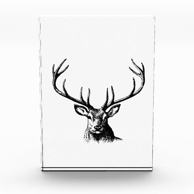Deer Animal Antlers Nature Wildlife Horns Head Pos Photo Block (Front)