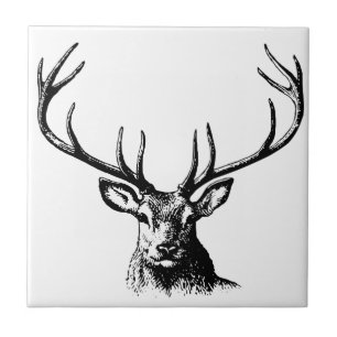 Deer Animal Antlers Nature Wildlife Horns Head Pos Tile