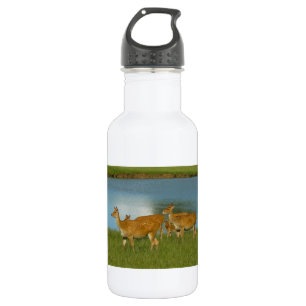 Deer Animal Nature Peace Love Destiny Fun Art 532 Ml Water Bottle