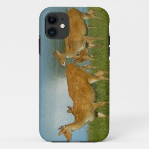 Deer Animal Nature Peace Love Destiny Fun Art iPhone 11 Case