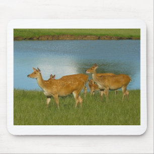 Deer Animal Nature Peace Love Destiny Fun Art Mouse Mat