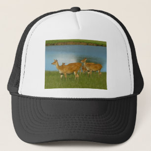 Deer Animal Nature Peace Love Destiny Fun Art Trucker Hat