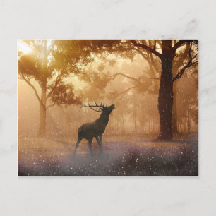 Deer Antler Meadow Postcard