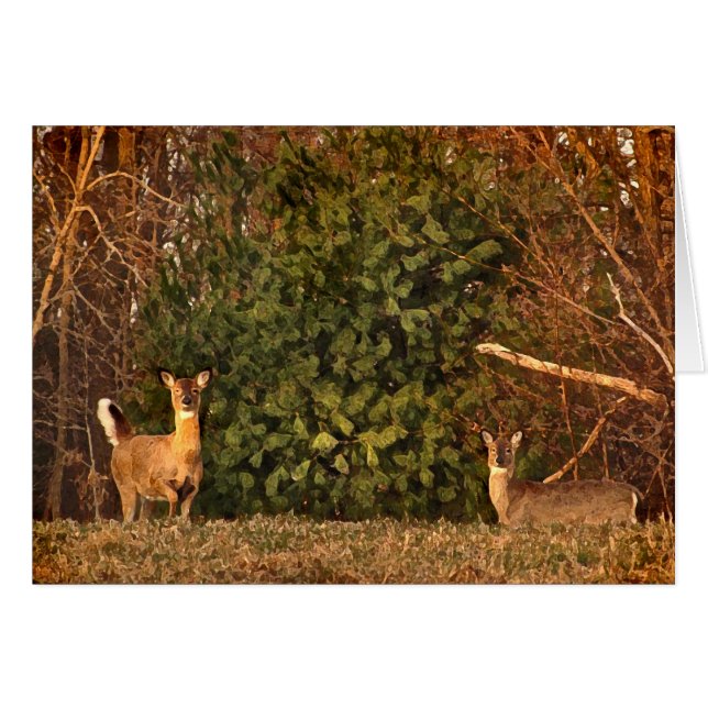 Deer at Sunrise Blank Card (Front Horizontal)