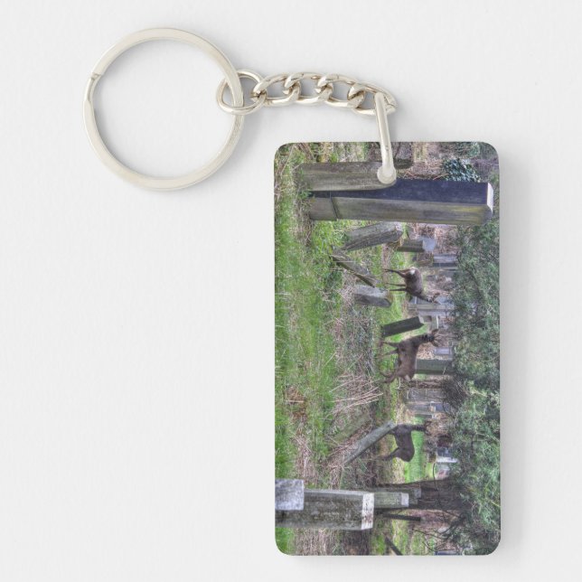 Deer At Zentralfriedhof Key Ring (Front)
