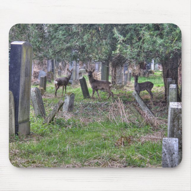Deer At Zentralfriedhof Mouse Mat (Front)