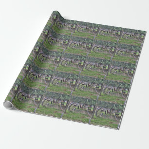 Deer At Zentralfriedhof Wrapping Paper