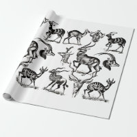 Deer Buck Antelope Animals wildlife Illustrations