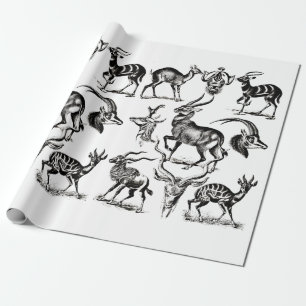 Deer Buck Antelope Animals wildlife Illustrations Wrapping Paper