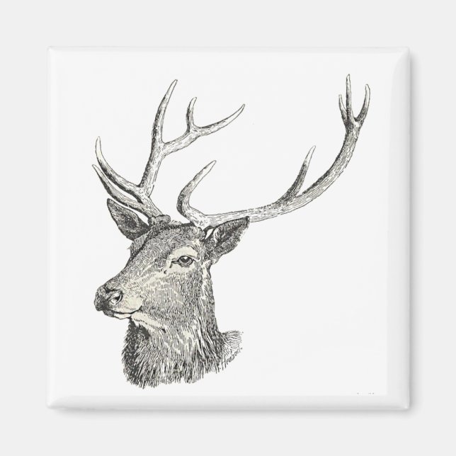 Deer Buck Head with Antlers Black and White Art Magnet (Front)