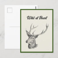 Deer Buck Head with Antlers Black and White Art