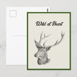 Deer Buck Head with Antlers Black and White Art Postcard