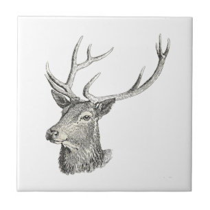 Deer Buck Head with Antlers Hunting Drawing Tile