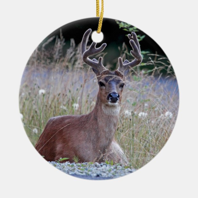 Deer Buck Lying Down Ceramic Tree Decoration (Front)