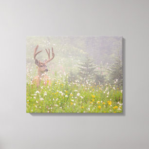 Deer Buck   Mount Rainier National Park Canvas Print