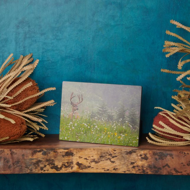 Deer Buck | Mount Rainier National Park Plaque (Side)