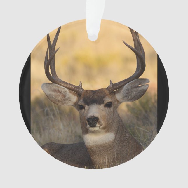 deer buck ornament (Front)