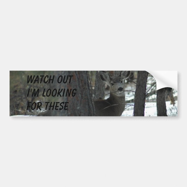 DEER BUMPER STICKER (Front)
