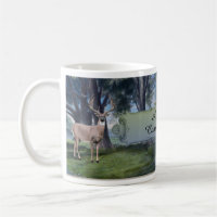 Deer Camping Hunting