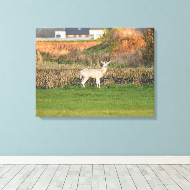 Deer  canvas print (Insitu(Wood Floor))